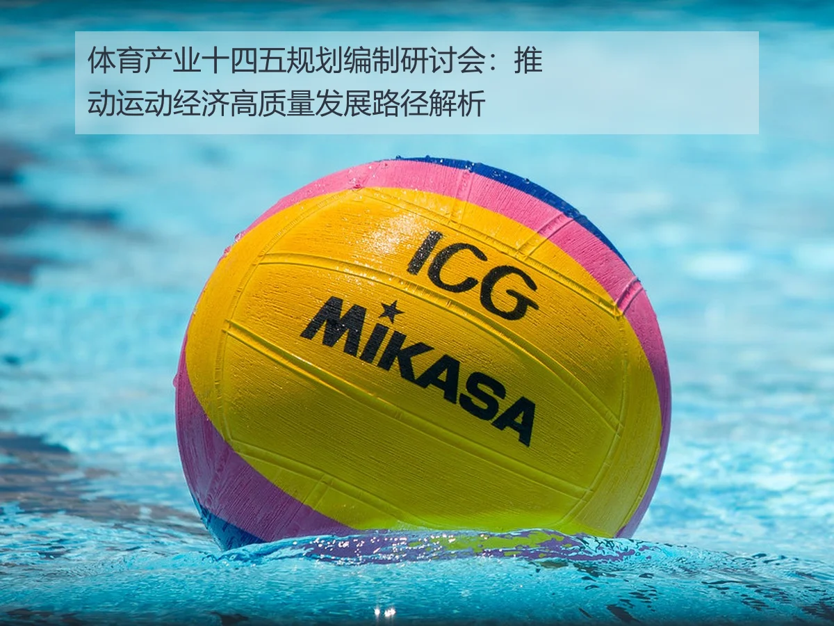 体育产业十四五规划编制研讨会:推动运动经济高质量发展路径解析